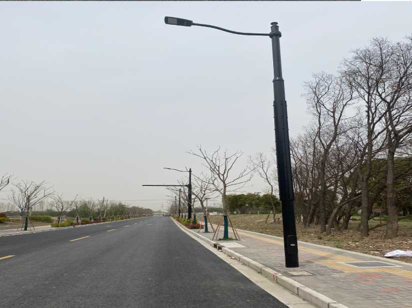 西畴县上海综合杆 太阳能路灯工程